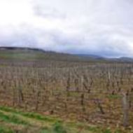 maillet-nicolas-03.jpg