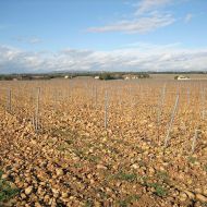 mas-de-boislauzon-03.jpg
