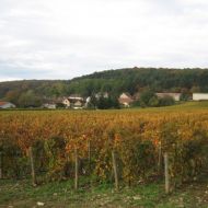 murat-herve-02.jpg