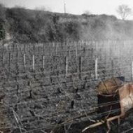 vaudoisey-creusefond-03.jpg